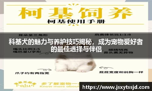 1xBET登录