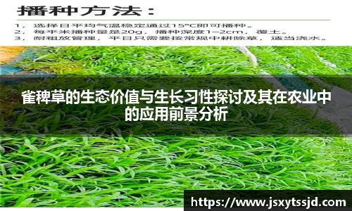 1xBET注册