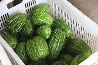 吃瓜168黑料
