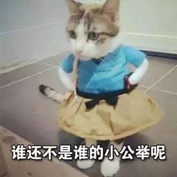 51黑料吃瓜喵小吉福利,揭秘娱乐圈幕后故事